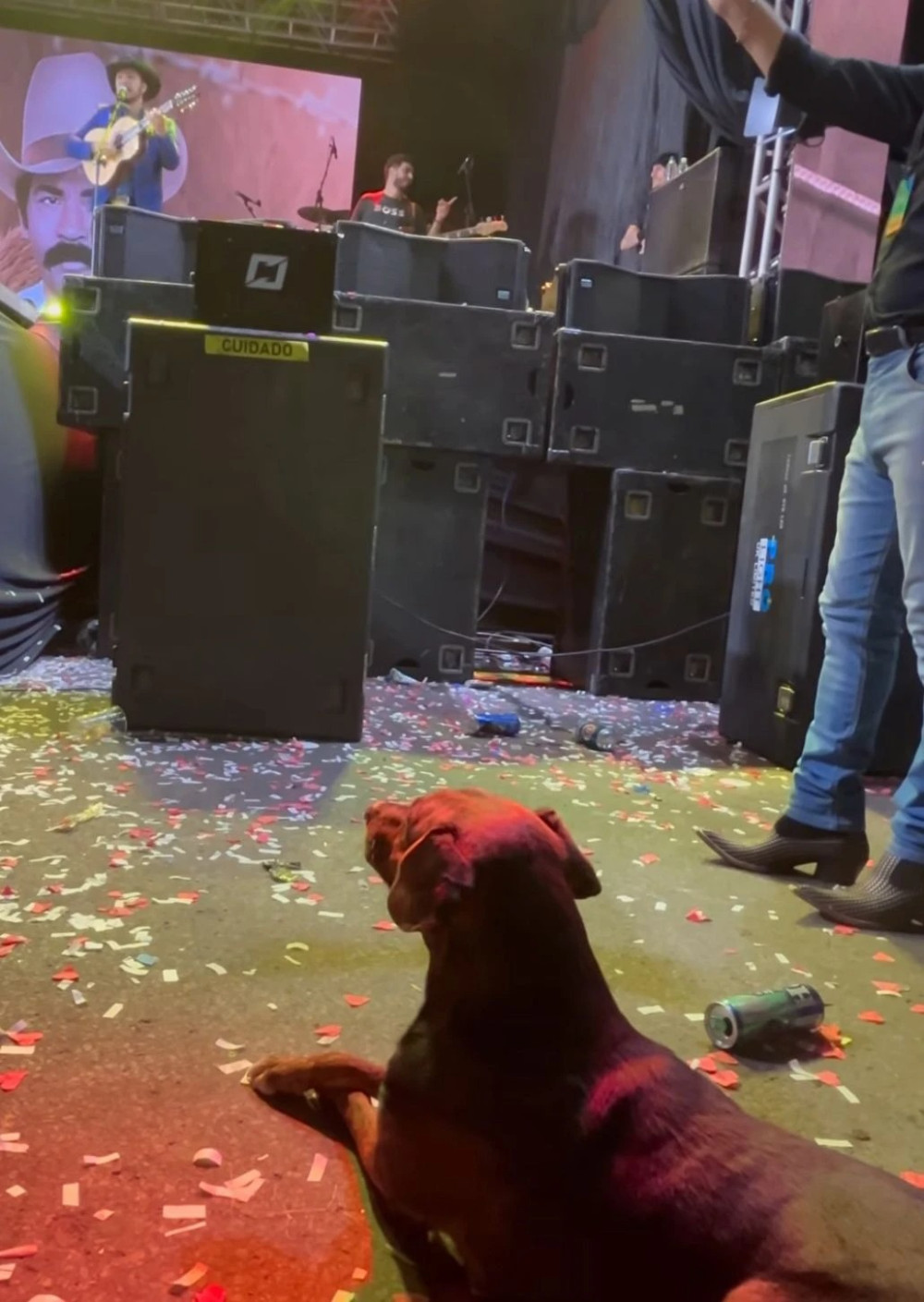 Cãozinho de rua rouba a cena nos shows do Festival de Gastronomia de Arcos 2025